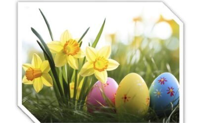 Wir wünschen ein schönes Osterfest!
