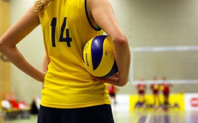Volleyball NÖ Landeslehrermeisterschaften am 14. Oktober 2025